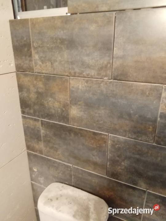 Remonty mieszkań i domów wielkopolskie