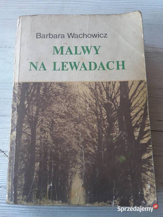 Malwy na lewadach Barbara Wachowicz 1985 Bielsko-Biała