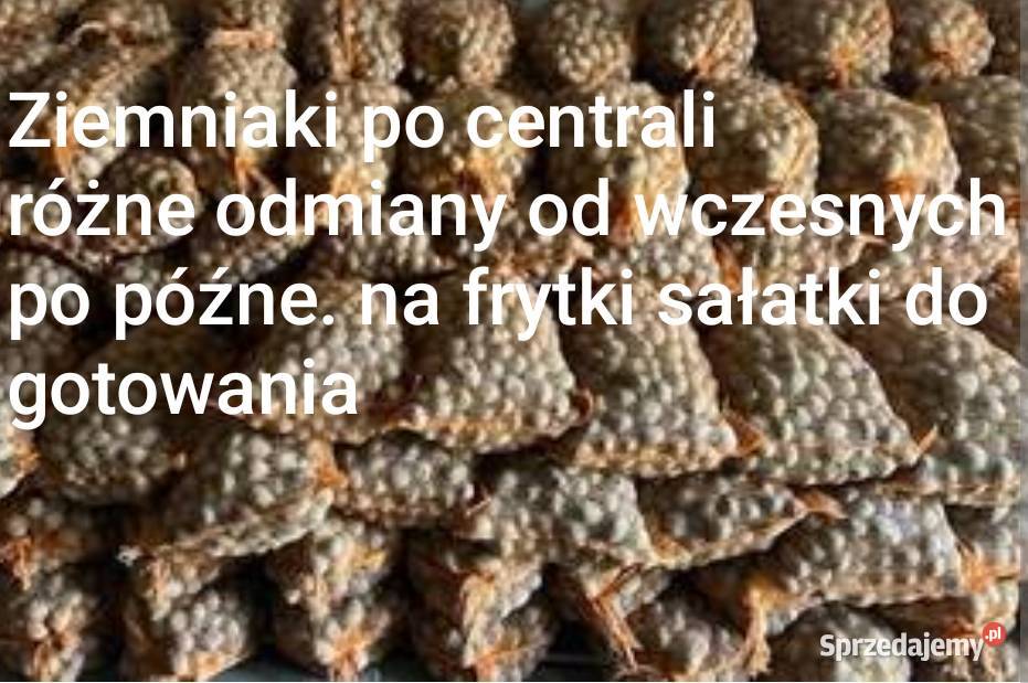Ziemniaki wielkości sadzeniaka grube różne