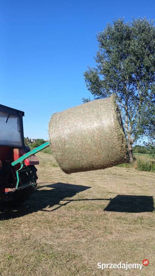 Siano łąkowe drugi skos Załawcze