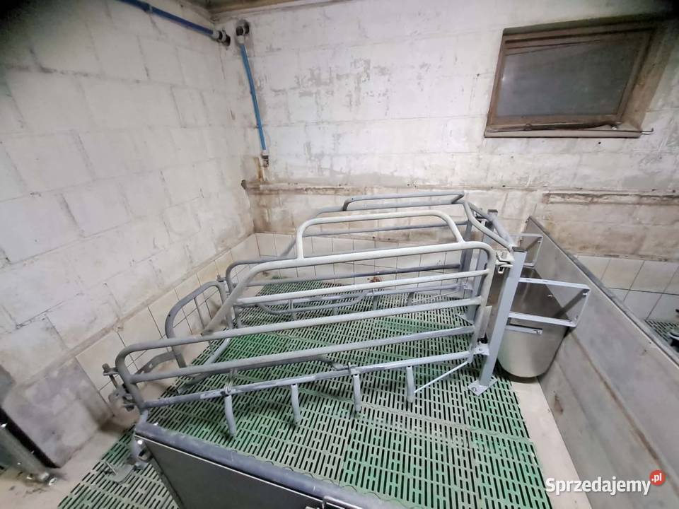 Kojec porodowy macior porodówka Pozostałe Mońki