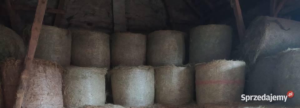 Sprzedam siano wielkopolskie Wijewo sprzedam