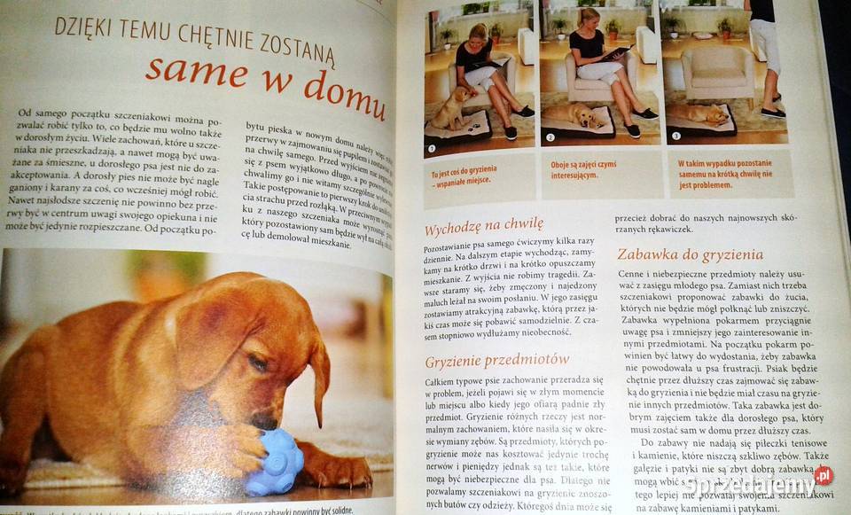 Wychowywanie psa Renate Jones Chełm