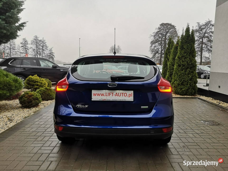 Ford Focus 10 125 Benzyna Klima Tempomat Salon Strzegom sprzedam