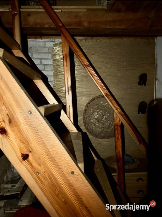 Dwa domy na pięknej działce 35 Warszawy OKAZJA rekreacyjny mazowieckie Osieck