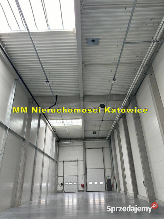Magazyny do wynajęcia 700 m2 Siemianowice klimatyzacja Siemianowice Śląskie