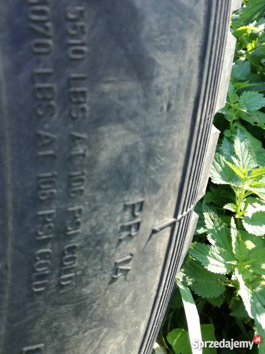 Przyczepa D 655 zasław Markowa sprzedam