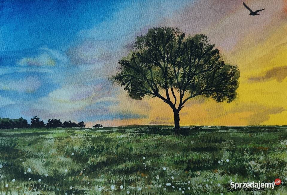 Akwarela Akwarelka Obraz pt Samotnicy 19x27