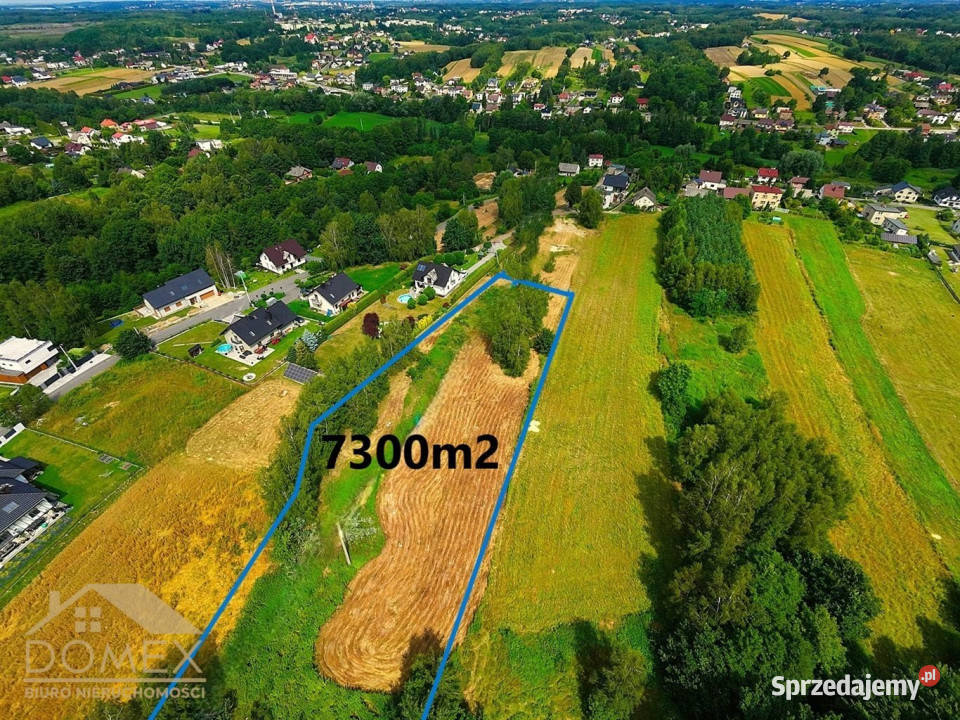 Grunt 8300m2 Mszana Sprzedaż