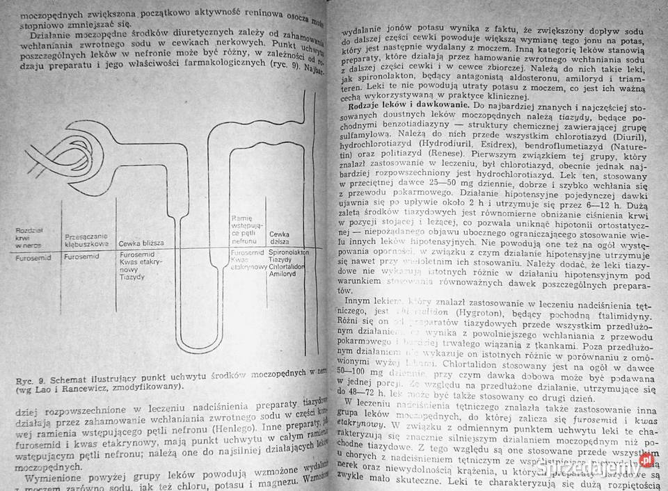 Leczenie nadciśnienia tętniczego M Sznajderman W Kultura i Rozrywka