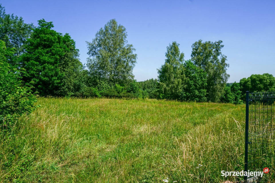 Działka z warunkami zabudowy i terenem 11ha 47m