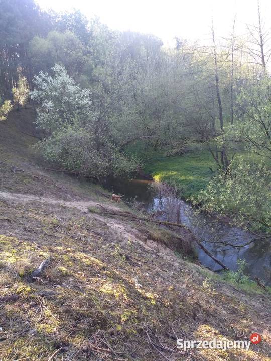 Wynajmę domek w Jabłonowcu5 Farma Iluzji4 Jabłonowiec