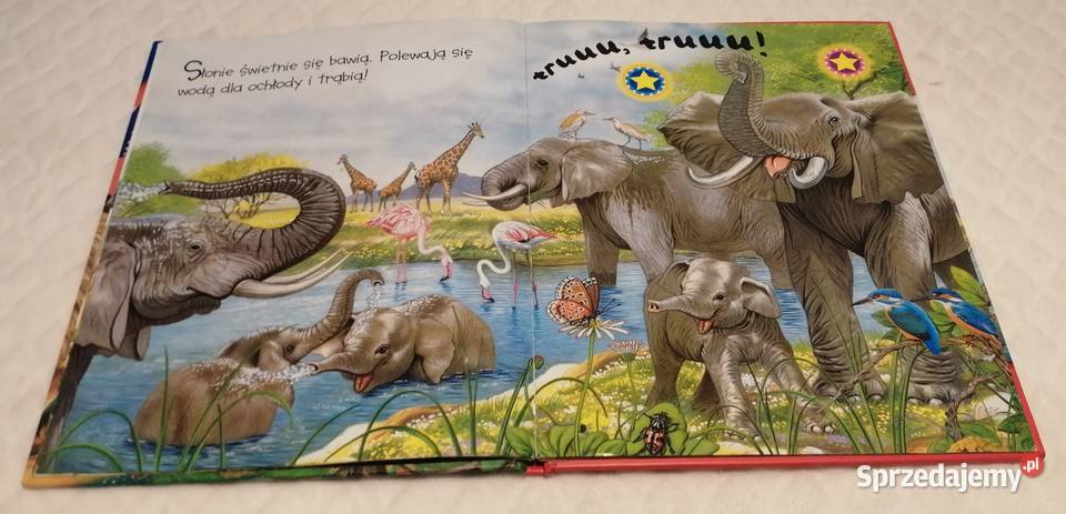 Odgłosy dzikich zwierząt książeczka dźwiękowa ISBN 9788378440338 Książki dla dzieci