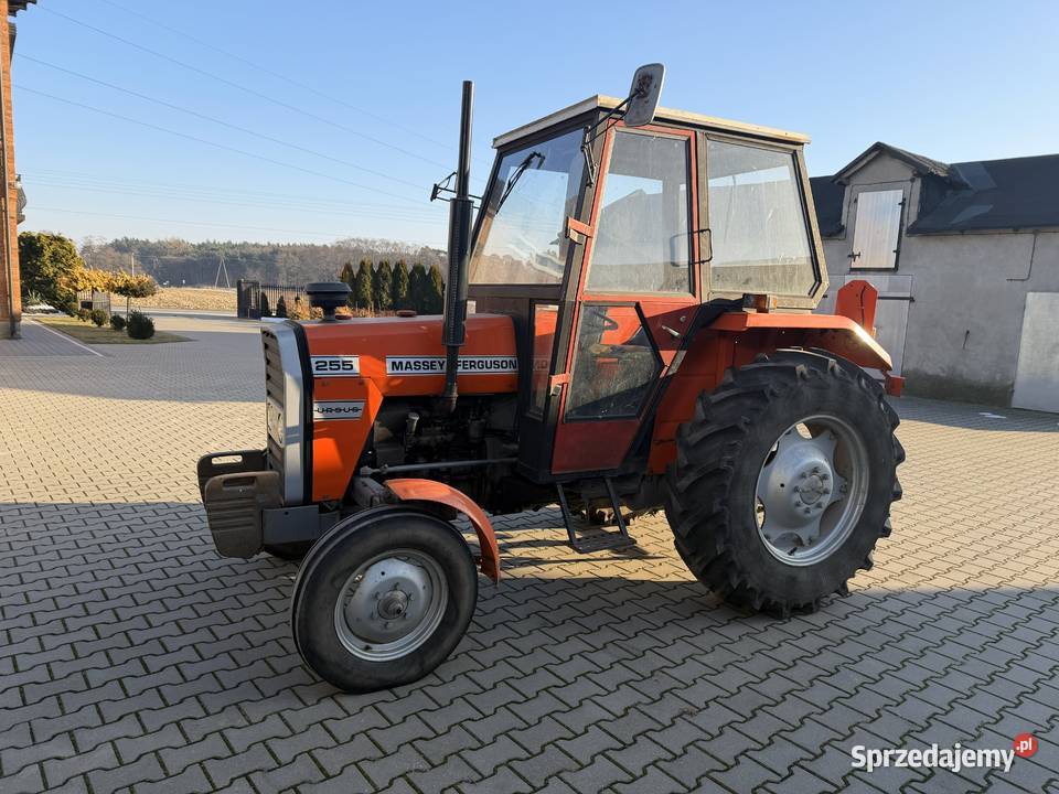 Ursus Massey Ferguson 255 1490 mtg Cedrowice-Parcela