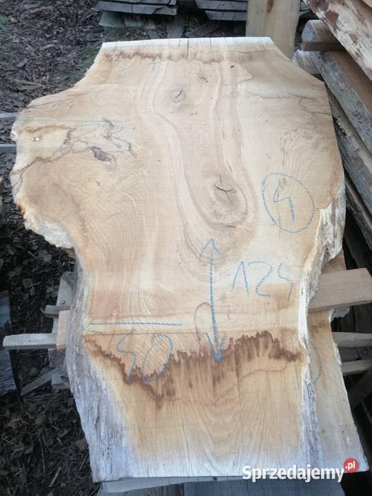 Monolit 120x80 wiąz dąb jesion klon topola Stoły, krzesła, biurka Przysucha