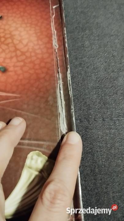 wielka księga smoki w środku plakietki Poznań