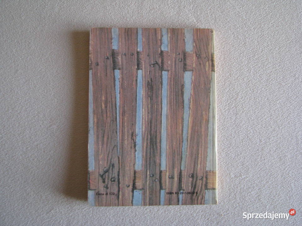 Przygody Tomka Sawyera Mark Twain Brzegi