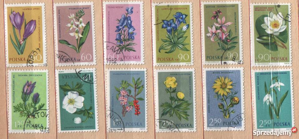 Zn Fi 1177 88 kas 1962 Gliwice