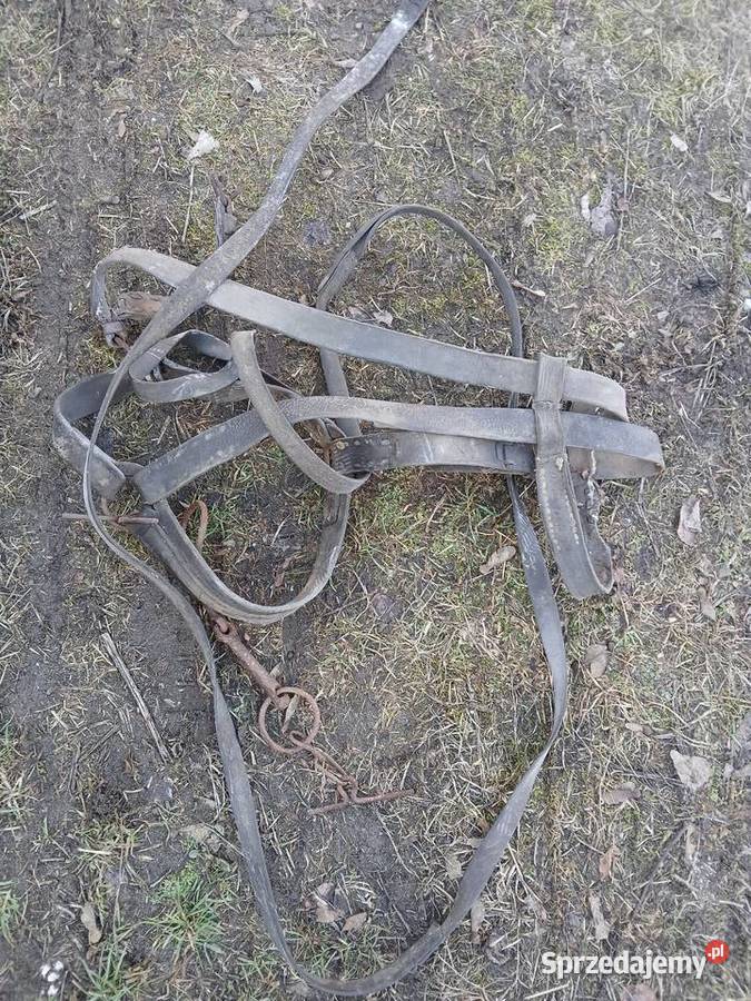 Homento Uzda Konna owijki Kaganiec Oryginalne z