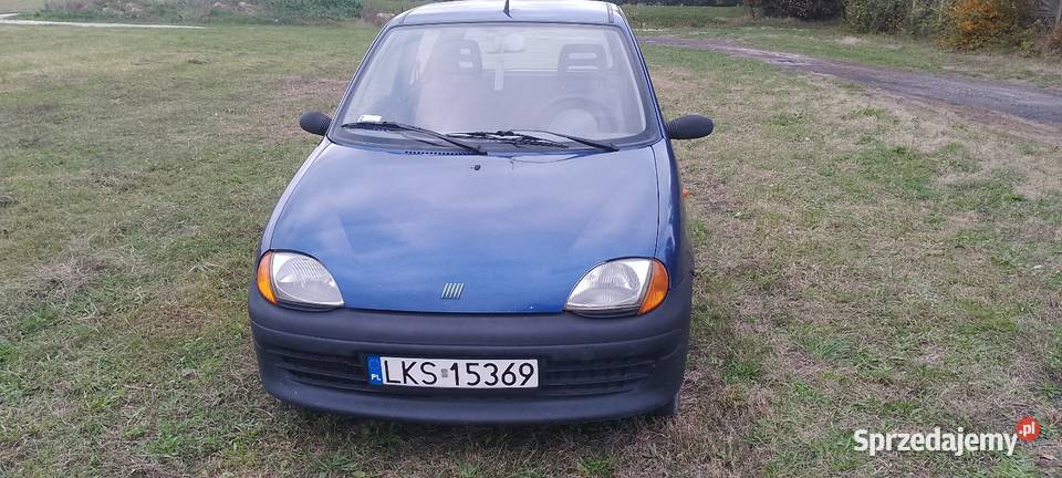 Seicento young 900