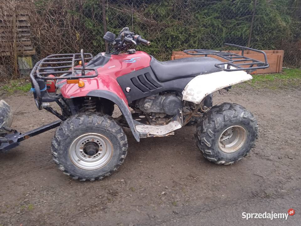 Quad linhai 260 z wyciągarka i pługiem quad - ATV Sękowa