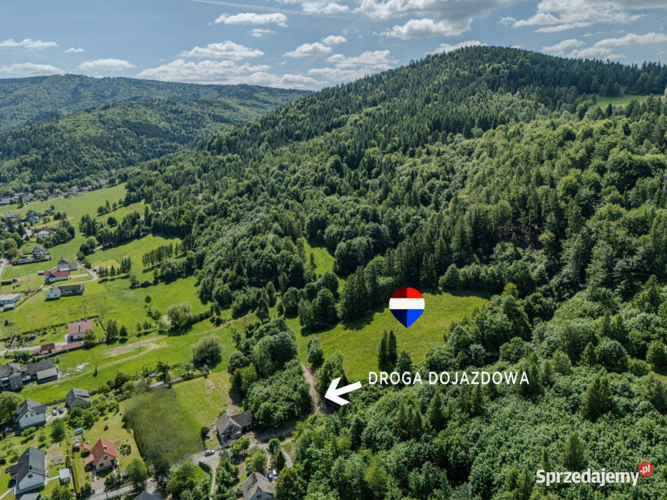 Działka leśna Rzyki małopolskie