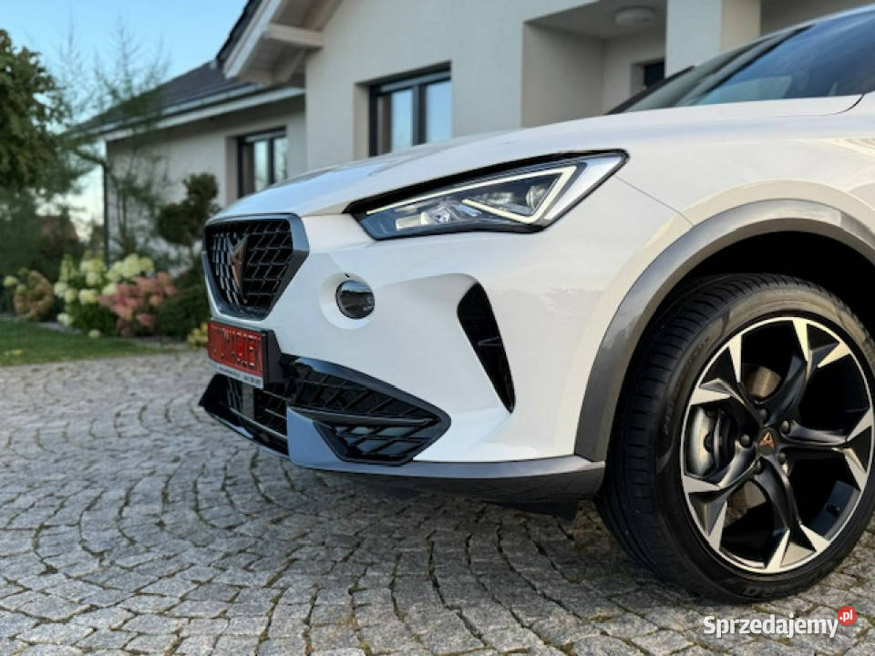 Cupra Formentor BLISY NAVI SMART AMBIENTE NOWE SUV Kamienna Góra