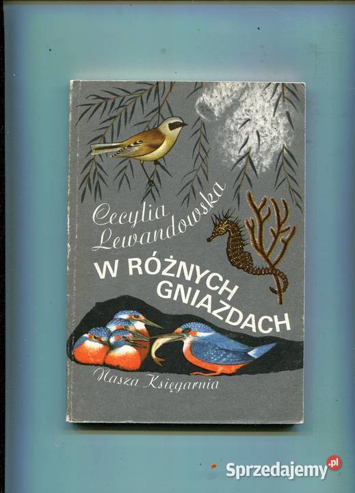 W różnych gniazdach Lewandowska miękka zachodniopomorskie Szczecin
