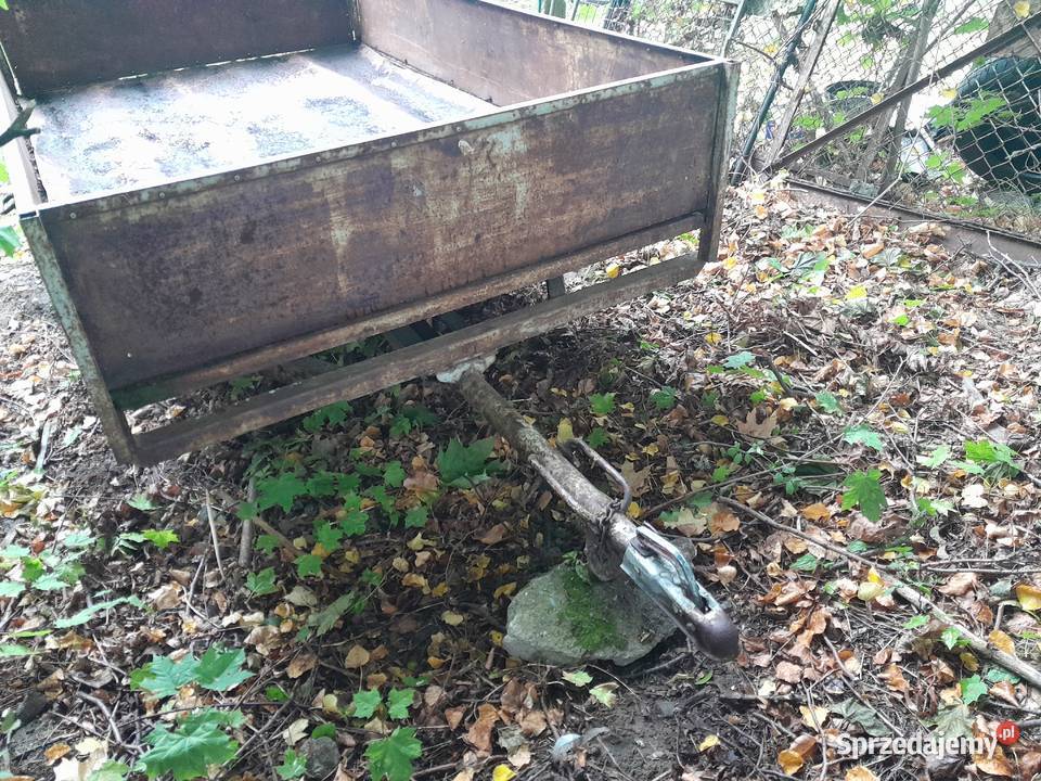 Przyczepka samochodowa kujawsko-pomorskie Rypin