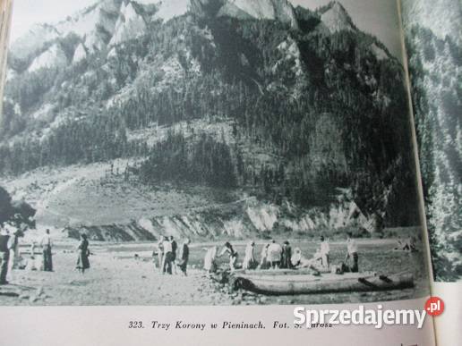 i ich pierwotne fragmenty przyroda krajobraz łódzkie Łódź