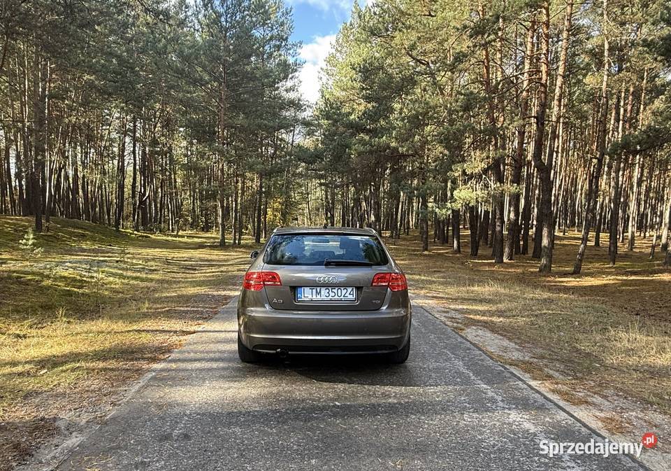 Audi a3 8p 2011r 20 diesel Hatchback lubelskie Łasochy sprzedam