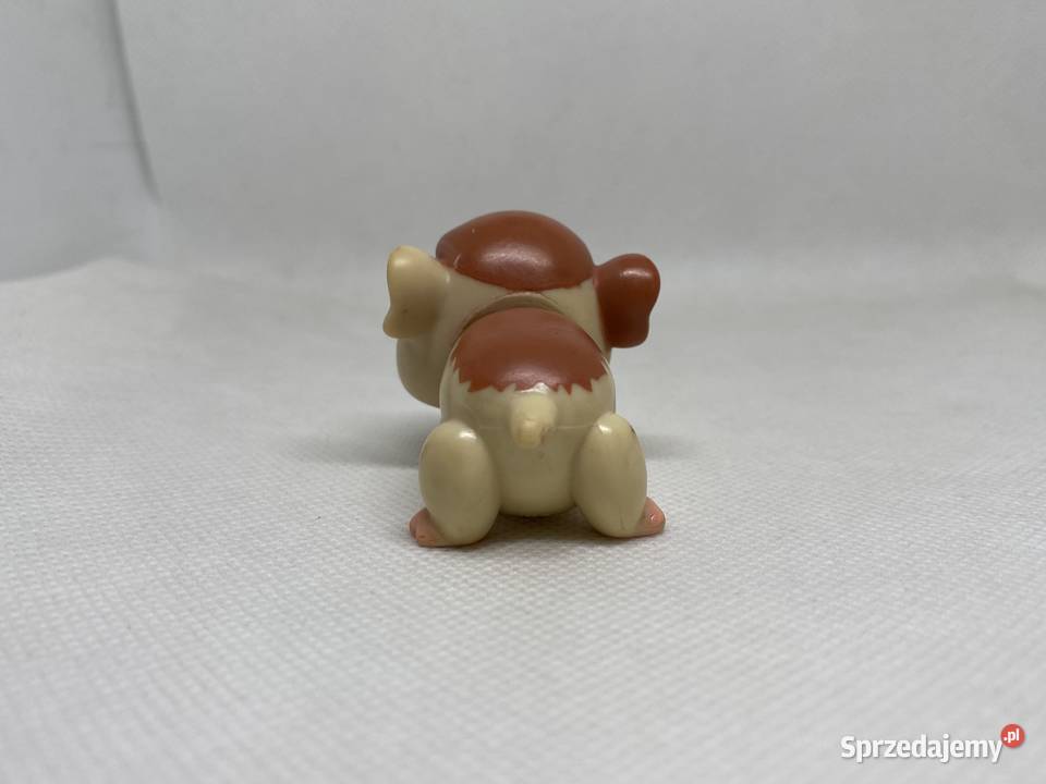 LPS Littlest pet shop świnka morska 683 Łódź