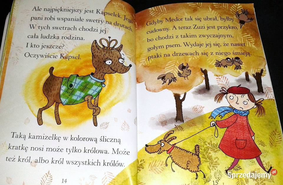 Zuzia i piesek w kratkę Pierwsze czytanki Irena Chełm sprzedam