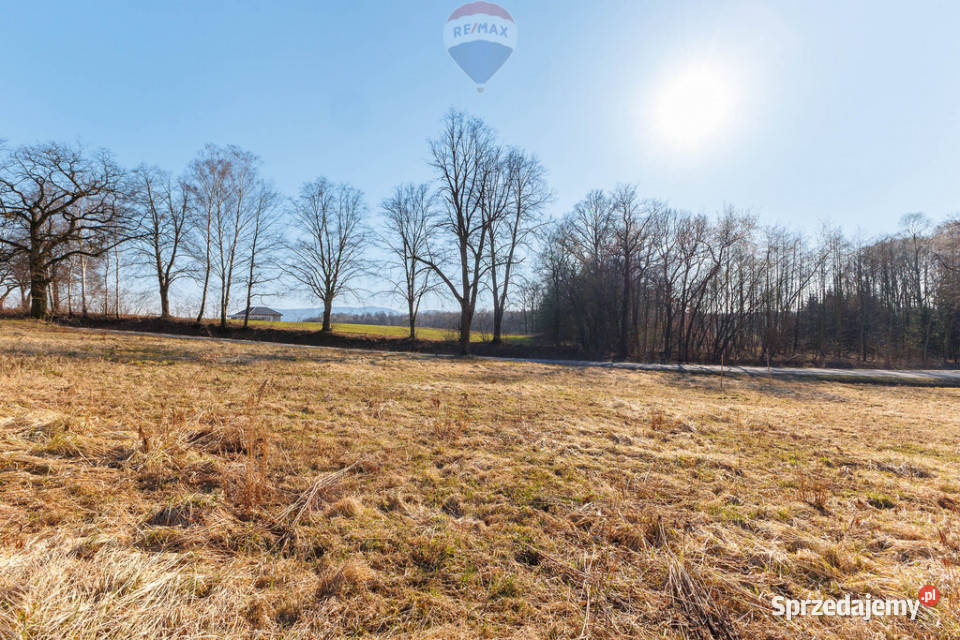 Działką usługowa droga powiatowa Hecznarowice Sprzedaż sprzedam