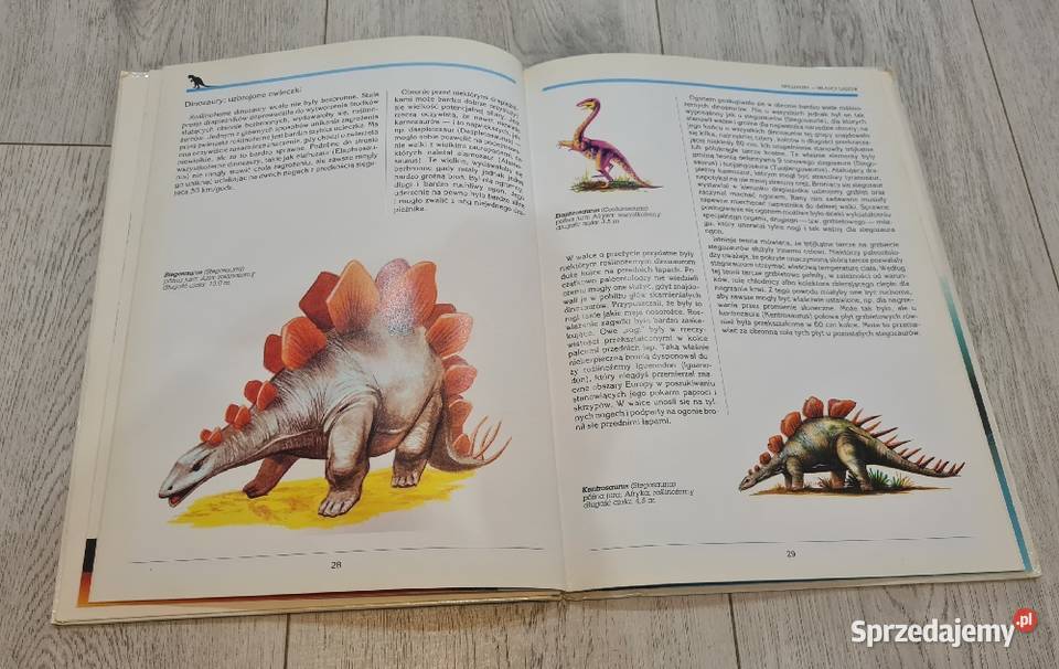 Książka Dinozaury władcy ziemi łódzkie Łódź