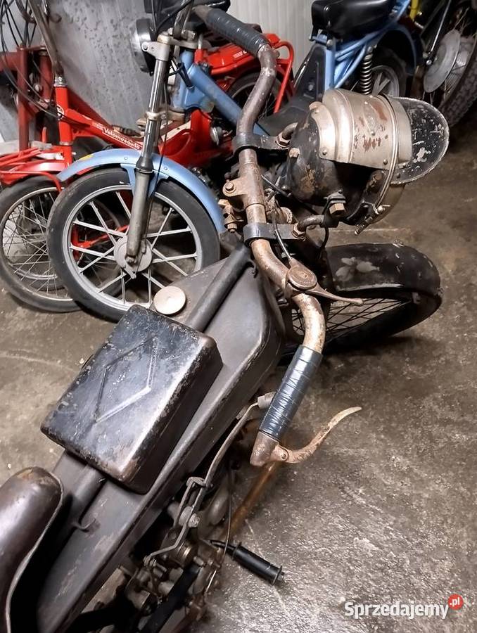 Labor sport Gostycyn