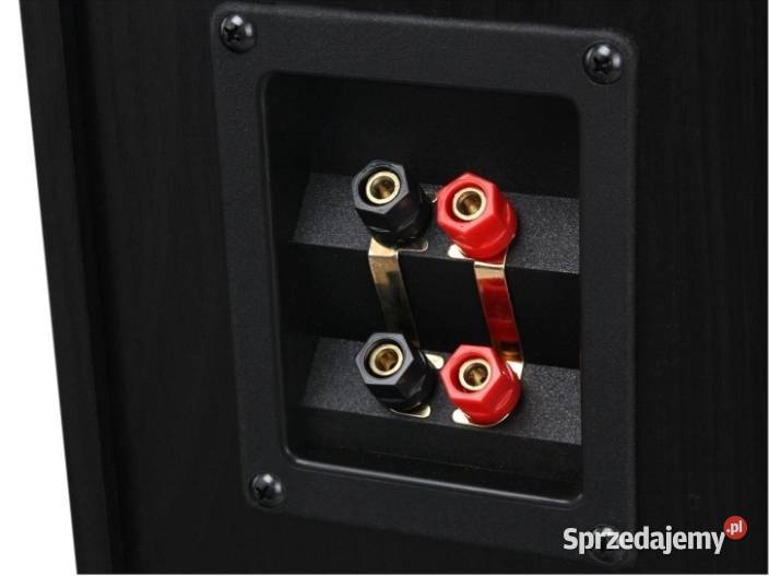 Głośniki stojące kolumny podłogowe Bennett Ross podkarpackie Rzeszów