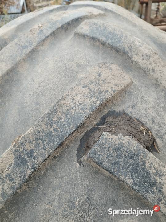 Opony 231 26 Bizon Rozrzutnik Miechów