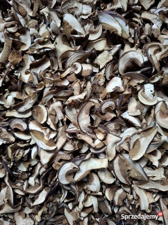 Podgrzybek suszony Grzyby Zbąszyń