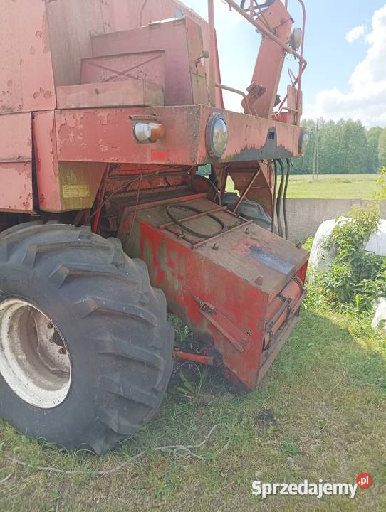 Bizon na części Modlica
