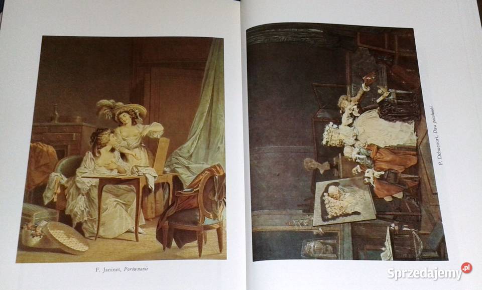 Wiek markiza de Sade Jerzy Łojek Rok wydania 1996 sprzedam