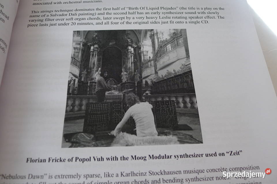 JENKINS MARK Tangerine Dream 50 Years The Radom