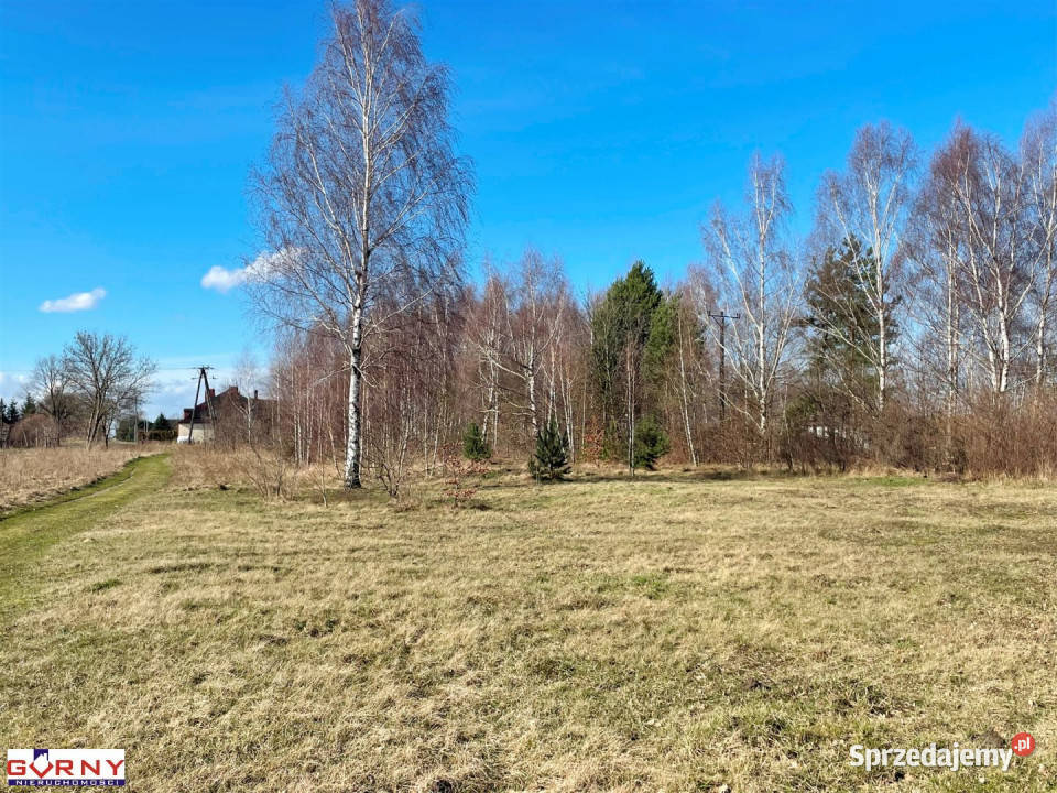 Działka do sprzedania Mzurki 5300 metrów łódzkie sprzedam