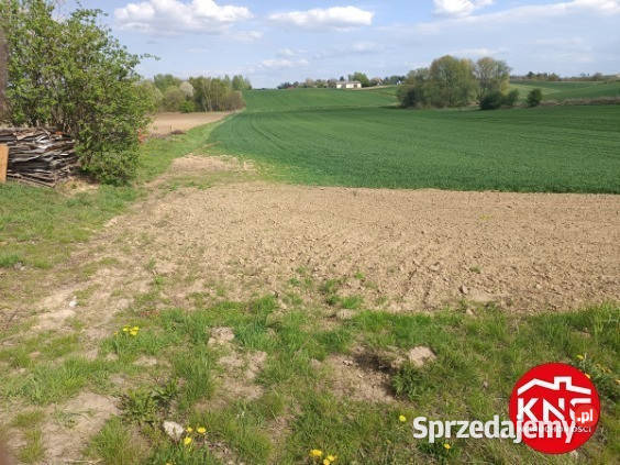 MARYSIN działka rolna o pow 8000 m polna lubelskie