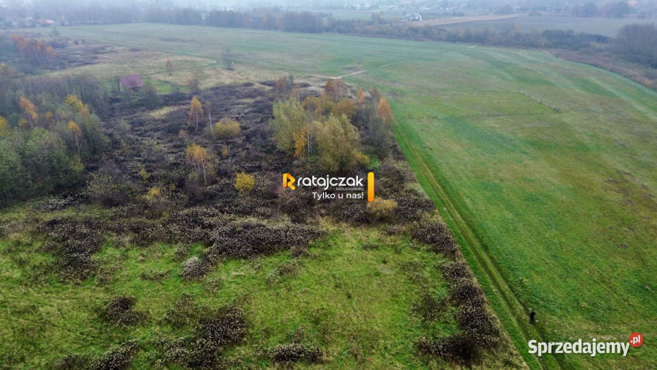 Działka 3356m2 Drewnica Zielona 3356m2 Sprzedaż pomorskie