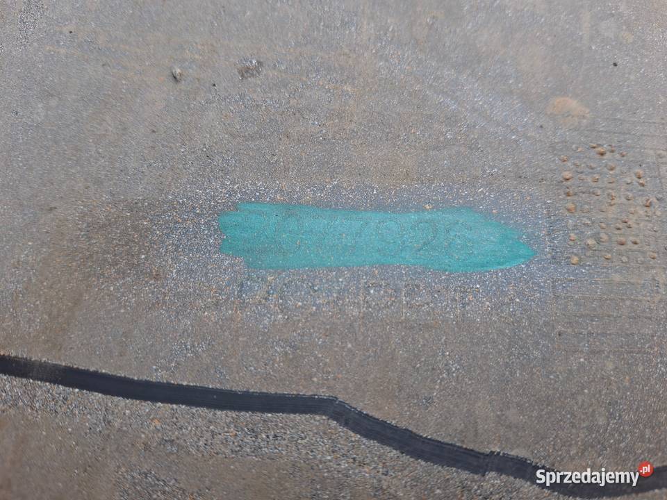 FIRMA SCS POLAND POSIADA NA SPRZEDAŻ NAROŻNIK Bieleń