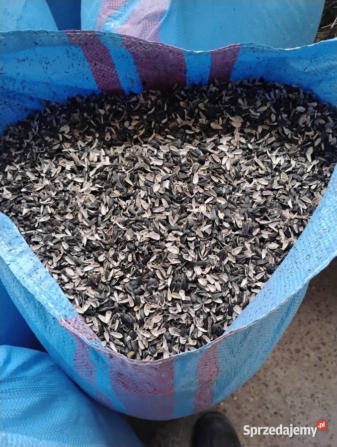 Łuska słonecznika Żywiec