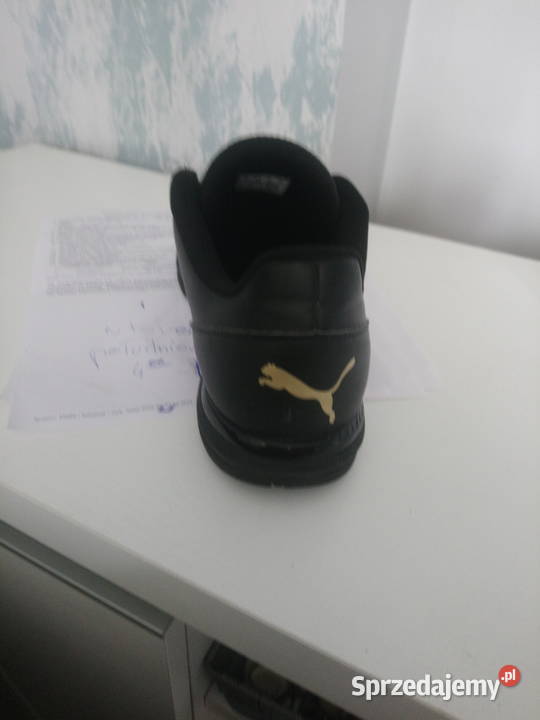 Buty Szczecin