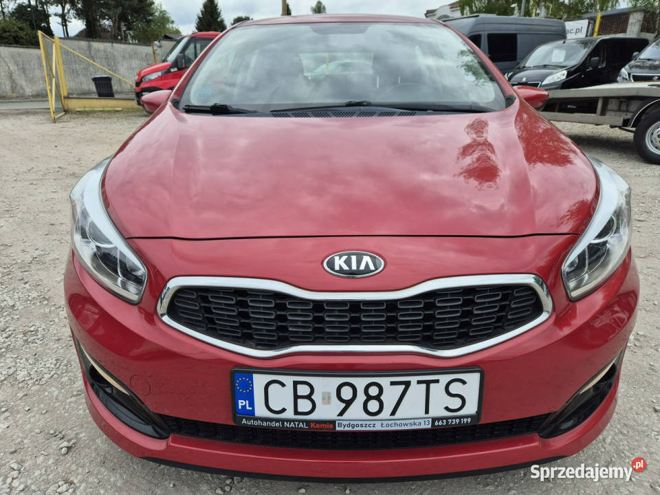 Kia Ceed Super przebieg Super stan Kia kujawsko-pomorskie Bydgoszcz