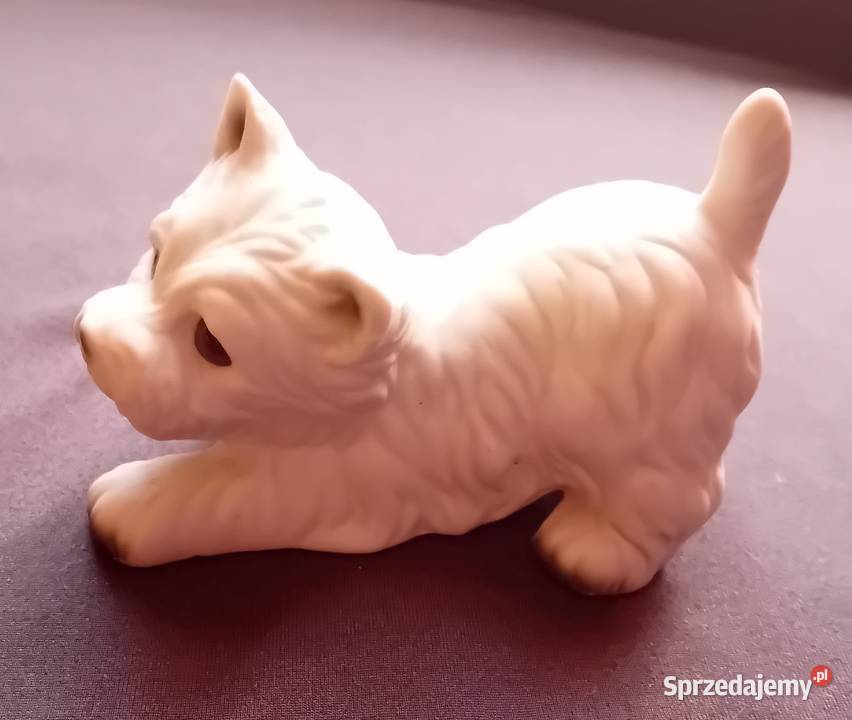 Figurka z porcelany biskwitowej pies West wielkopolskie Koźminek sprzedam